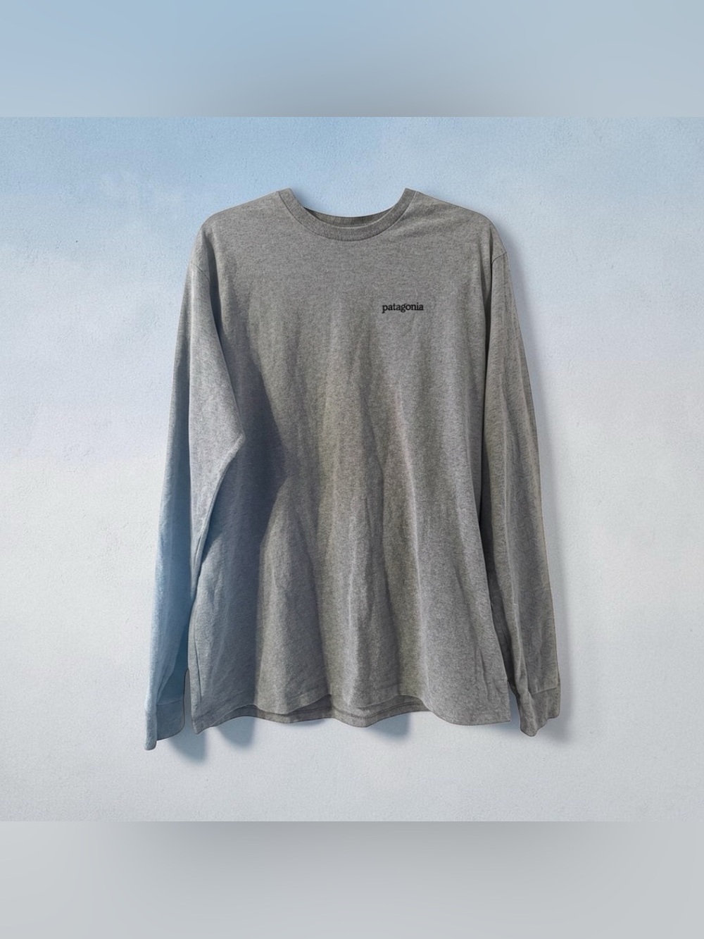 Patagonia Gray Long-Sleeve Crew Tee with Small Logo